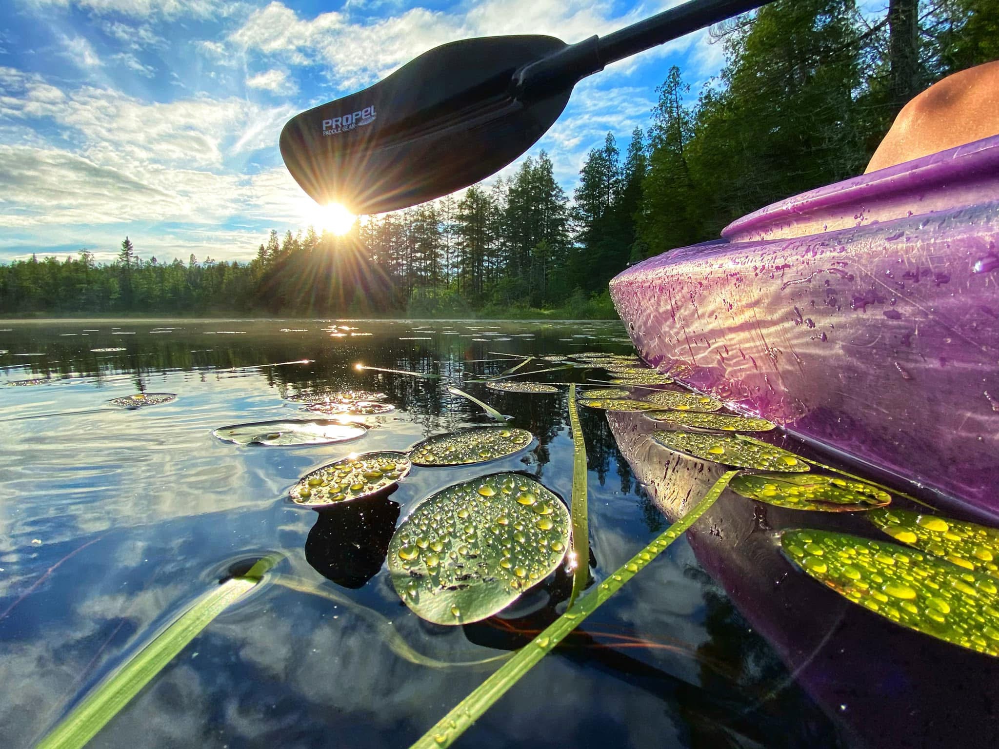 IMG_20230819_142759_442
